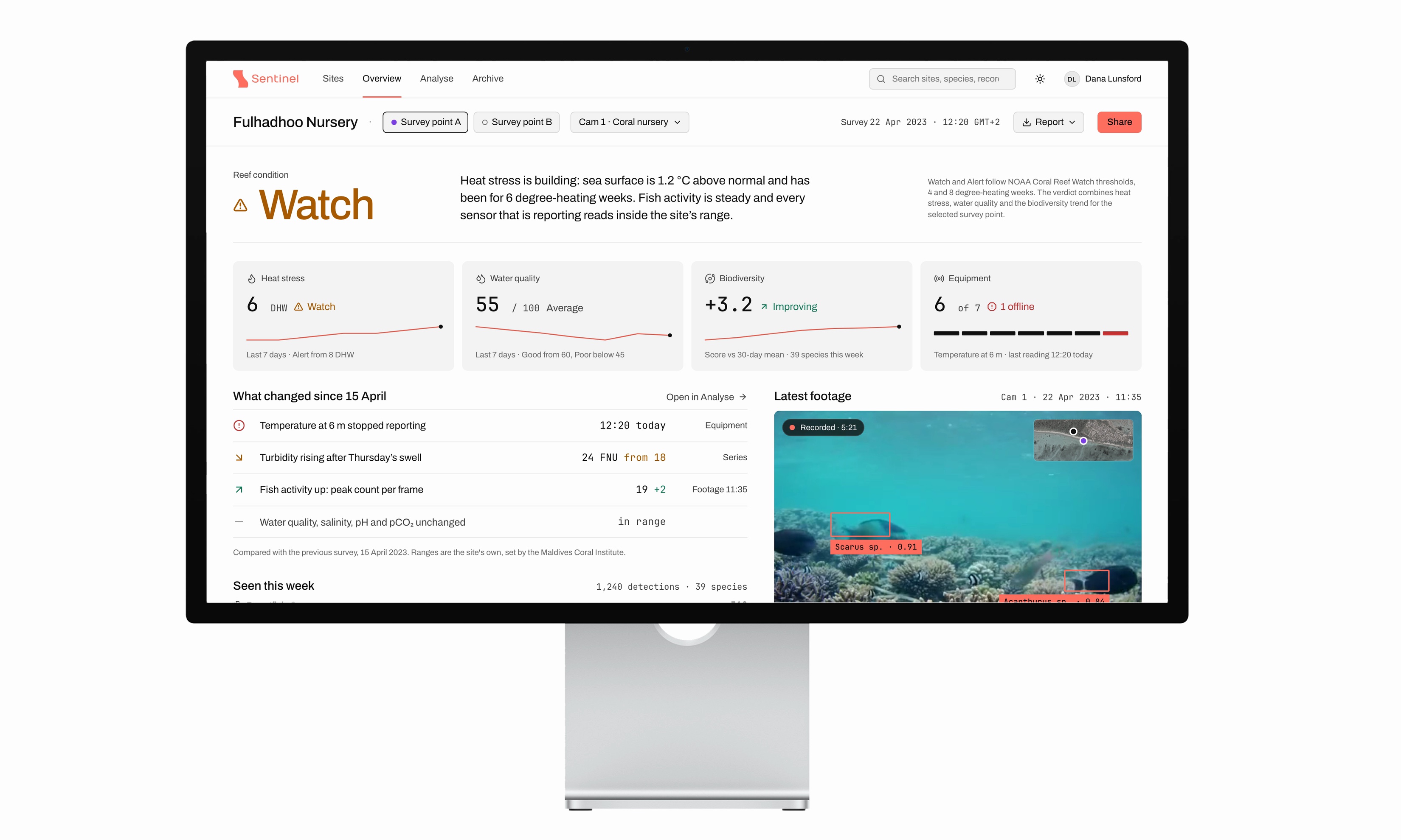 The Sentinel overview on a Studio Display: Fulhadhoo Nursery, reef condition Watch, the four condition cards and the latest footage