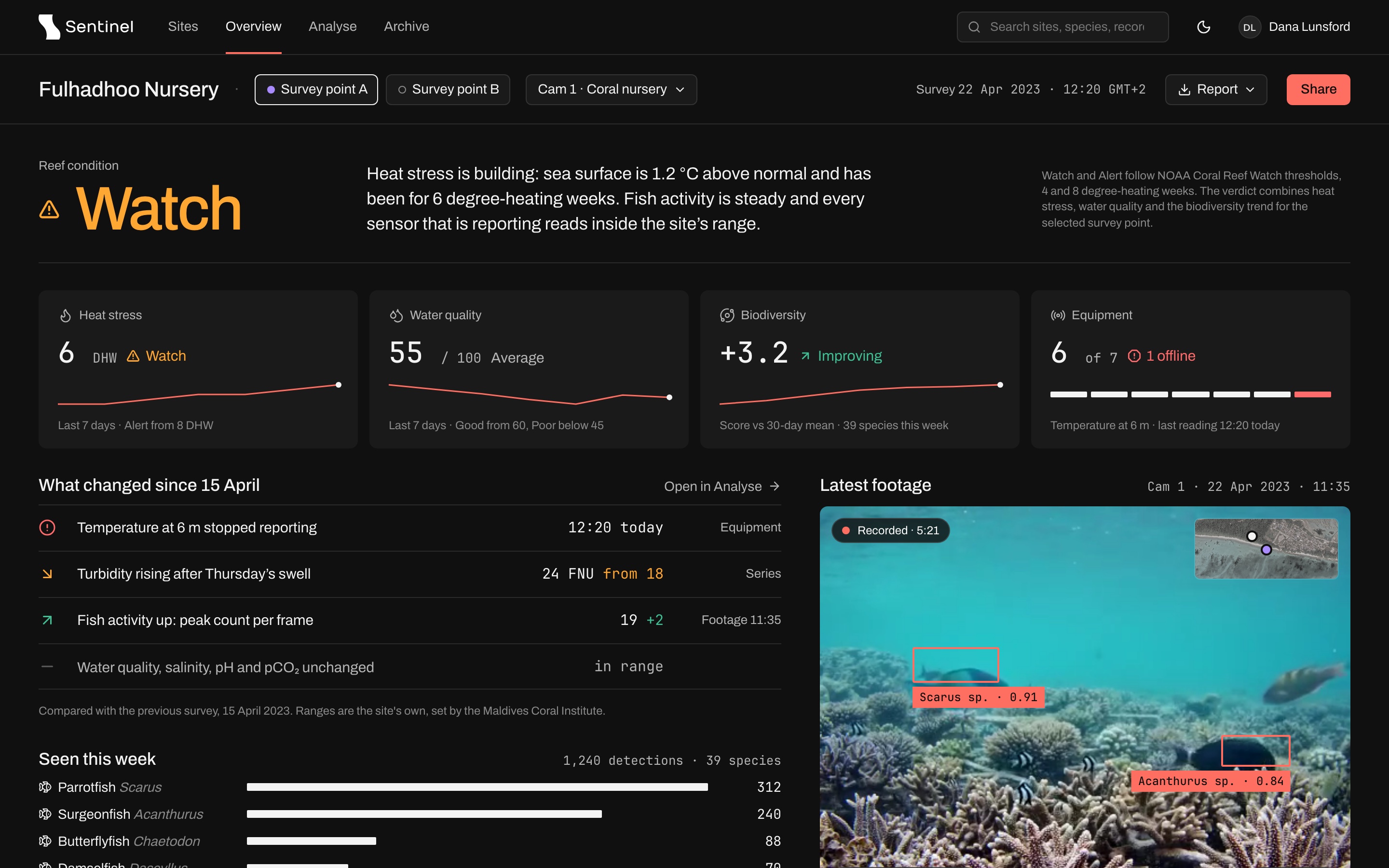 The same Sentinel overview in the dark theme