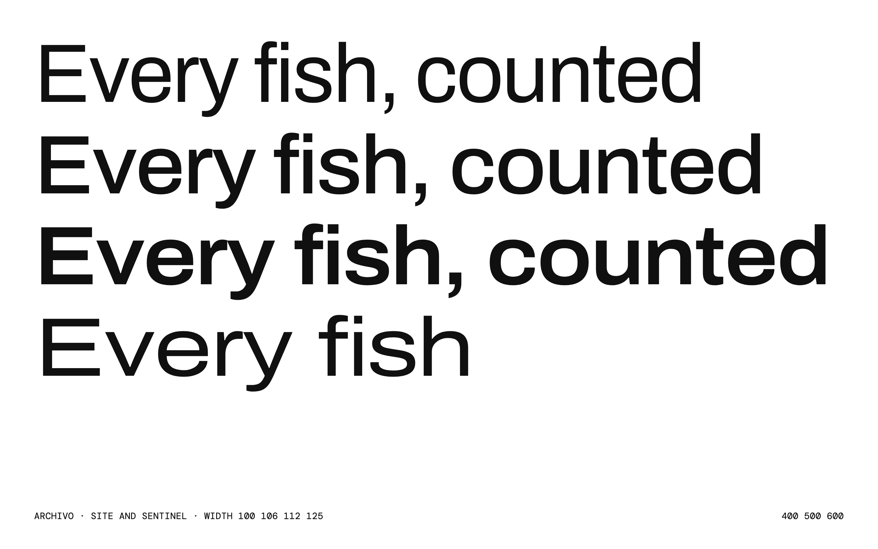 Archivo on white, the site and Sentinel face: Every fish, counted set four times, each line wider than the last along the width axis