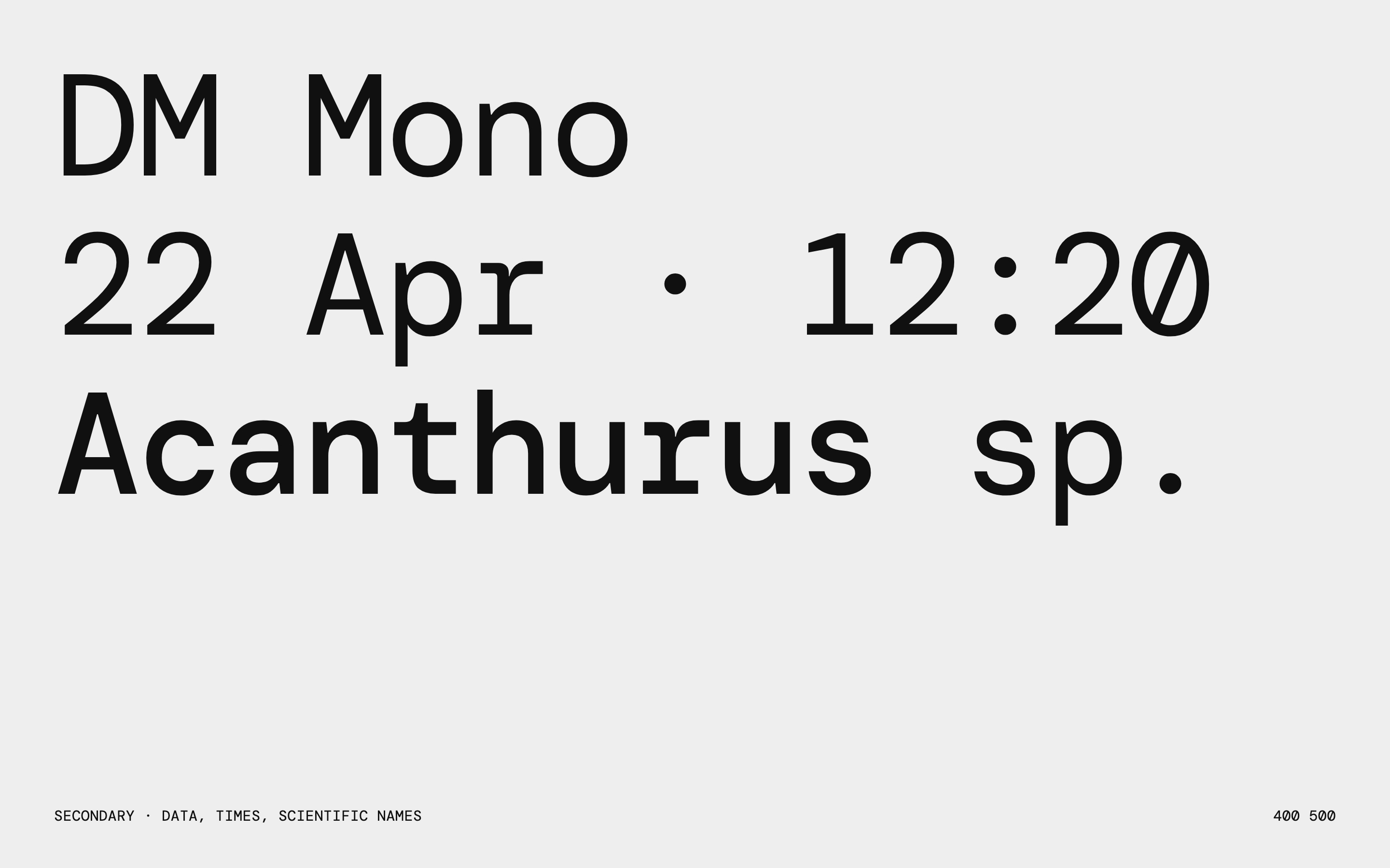 DM Mono on Cloud Grey: the family name, a survey time, 22 Apr 2023 12:20, and Acanthurus sp. 0.94 as three large lines